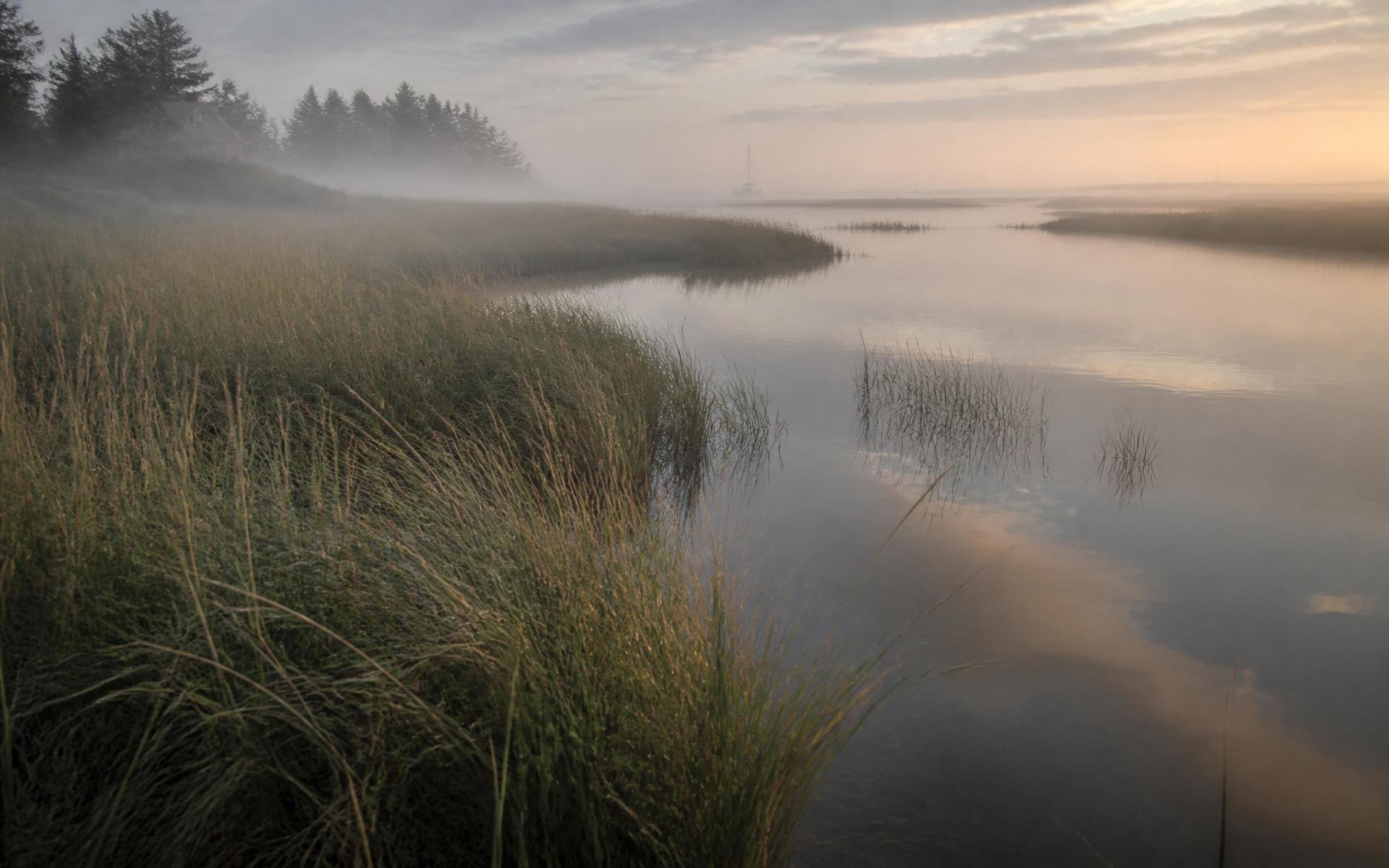 Misty New England salt marsh at dawn
